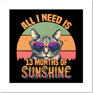 All I Need Is 13 Months of Sunshine Posters and Art